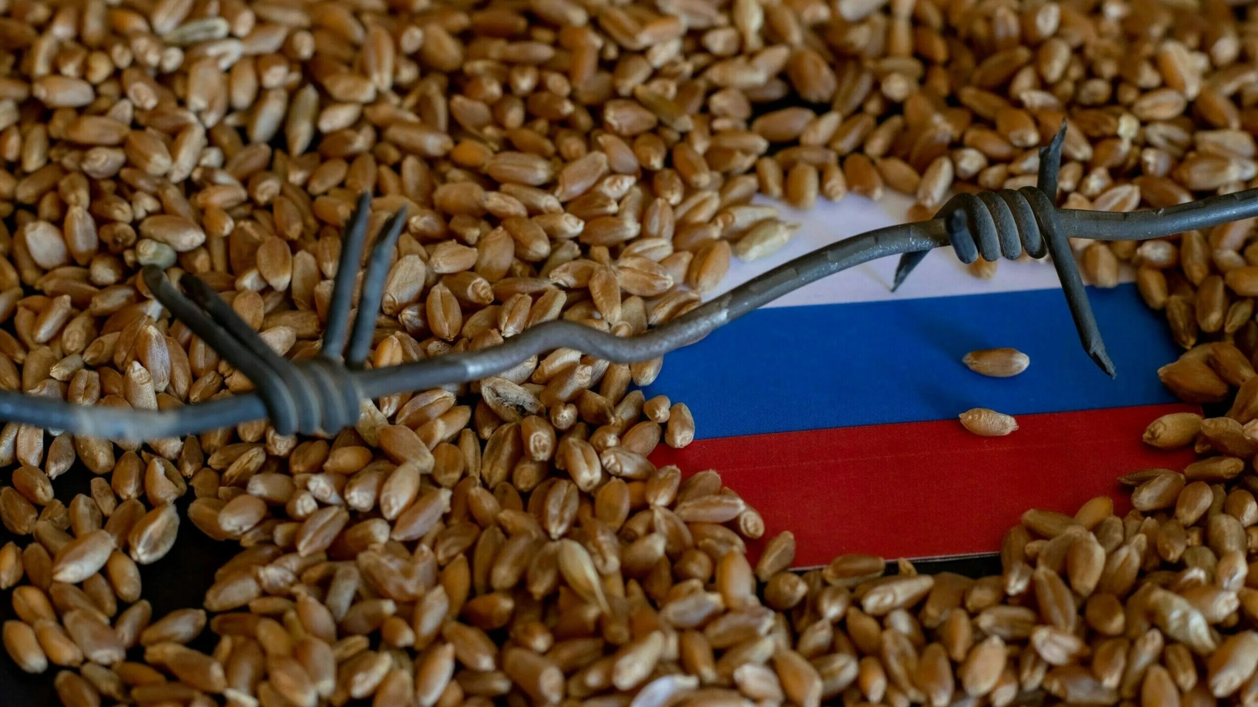 Запрет на импорт зерна. Ввоз пшеницы автомобильным транспортом. Зерновые культуры в России запретили. Запрет на импорт зерна в Казахстан.