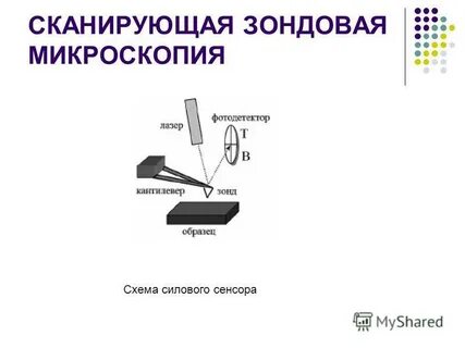 Сканирующая зондовая