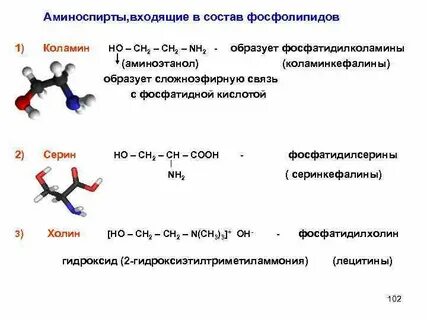 Коламин биологическая роль