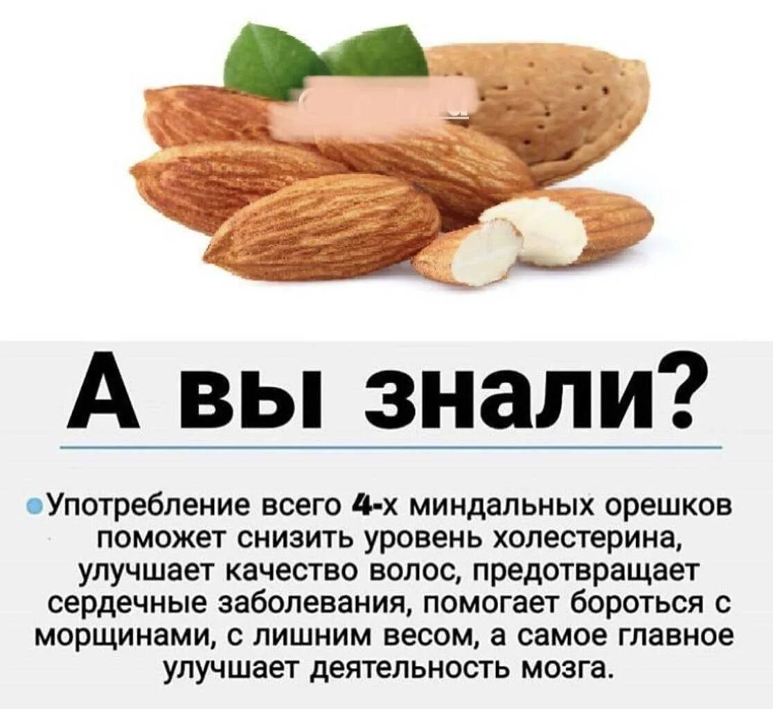 Сколько штук можно есть в день
