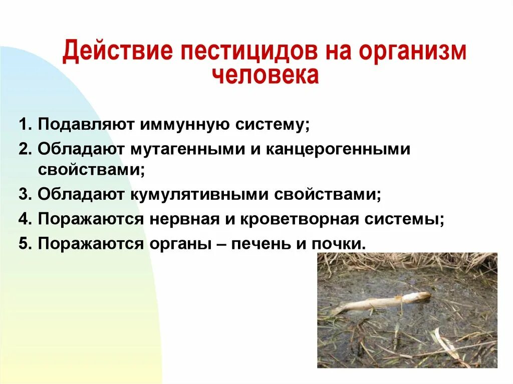 Пестициды изменения. Пестициды влияние на организм. влияние пестицидов на организм человека. воздействие пестицидов на человека. влияние пестицидов на организм человека кратко.