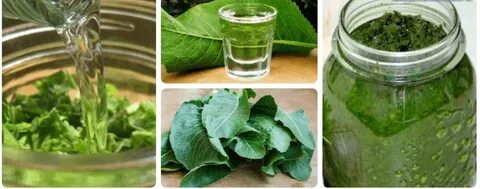 Хрен рецепт суставы