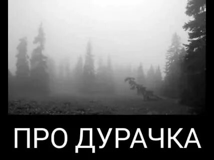Дурачок гражданская