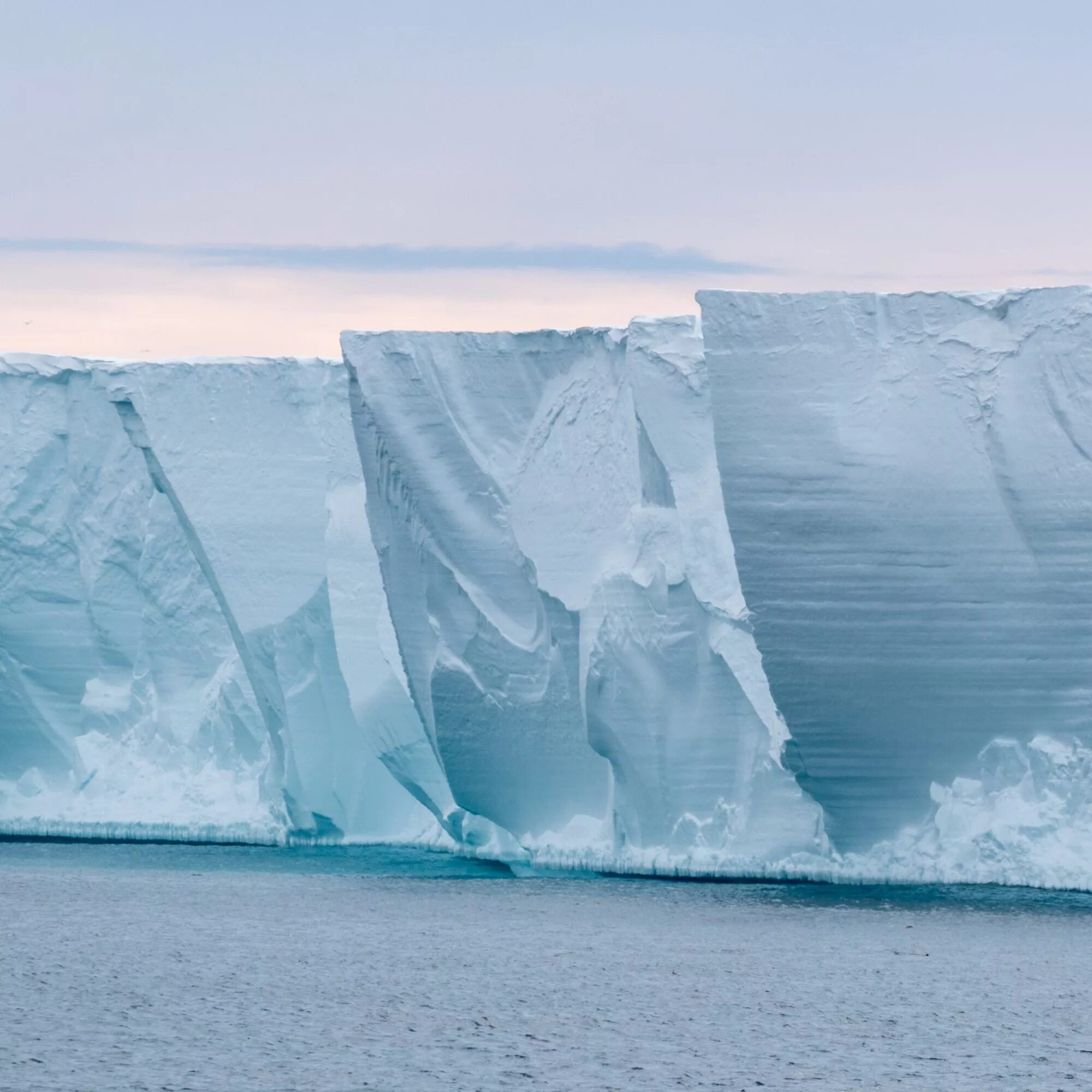 Шельфовые ледники Антарктиды. Ледник Росса в Антарктиде. Ледник Ross Ice Shelf. Шельфовые айсберги.