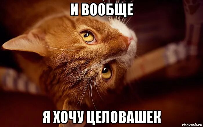 Открытки с обнимашками и целовашками. Хочу целовашек. Хочу обнимашек. Хочу целовашек. Хочу целовашек.
