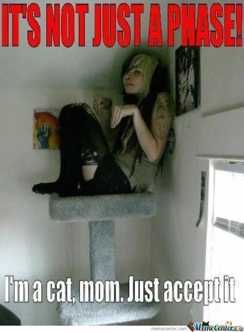 Phase mom. Эмо мемы. its not a phase. its just a phase. кошка эмо.