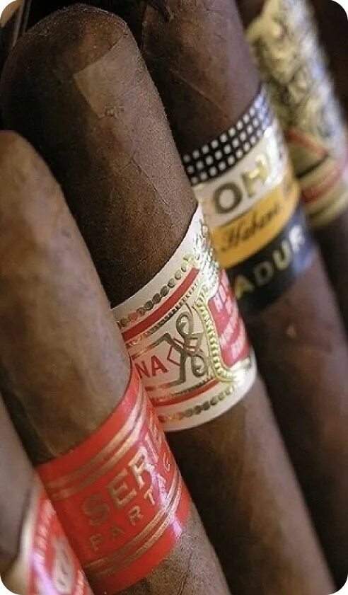 Сигары монтенегро. Кубинские сигары cohiba. Подкуренная кубинская сигара. Кубинская сигара фото. Кубинские сигариллы cohiba.