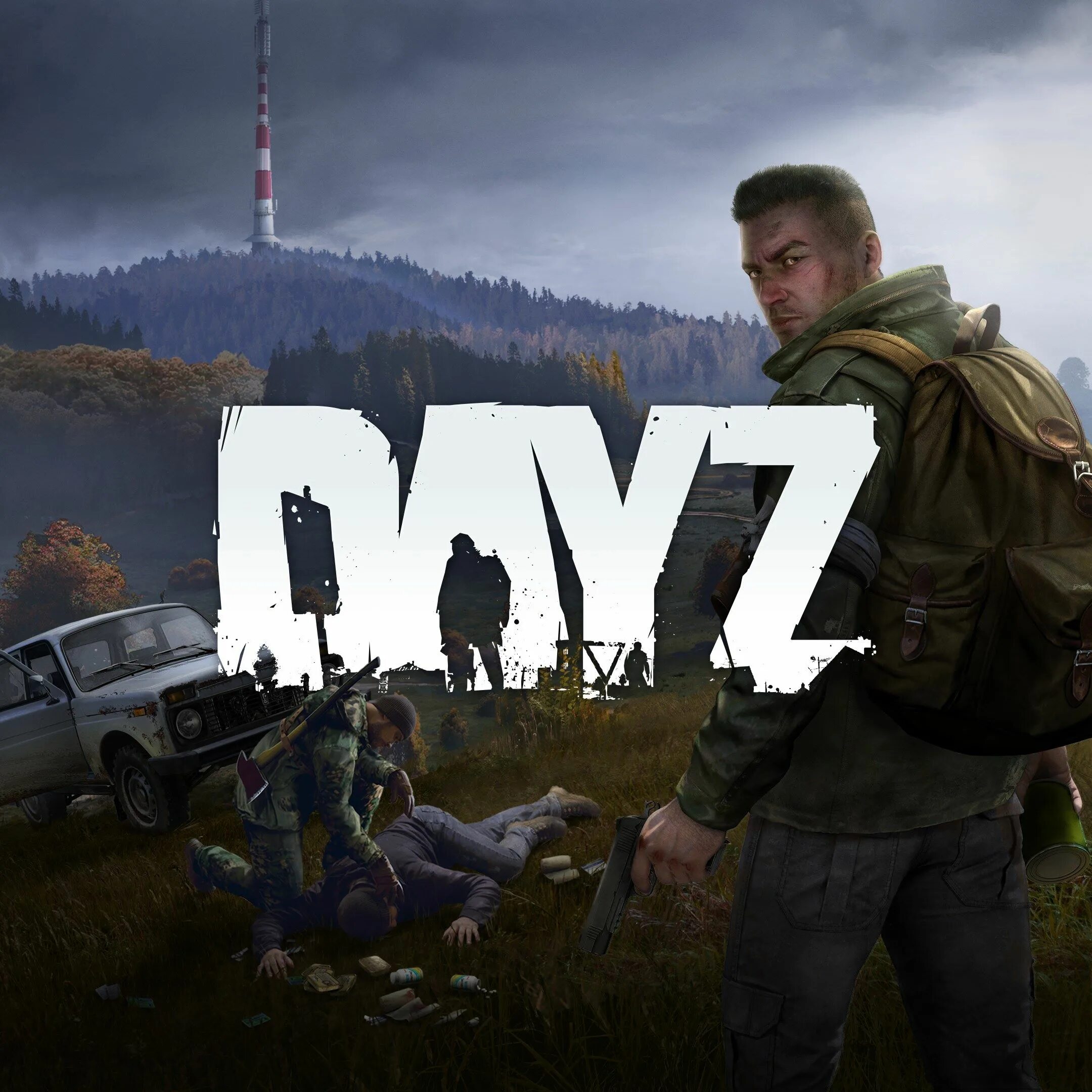 Красивые пейзажи дей[. Дейз игра. Картинки игры dayz. Day z arma 2. Дэй зи.