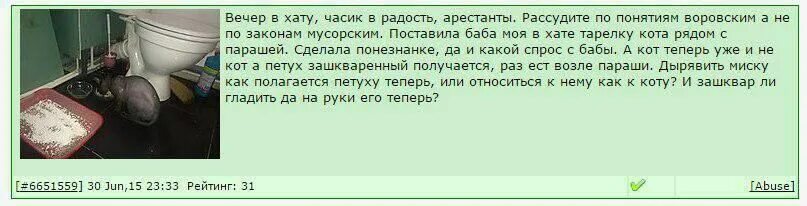 Часик в радость арестанты. Вечер в хату про кота. Вечер в хату арестанты. Приветствие вечер в хату. Как отвечать на вечер в хату