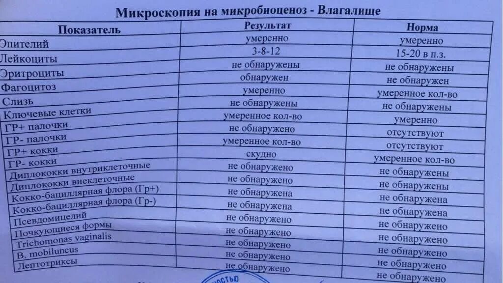Сдать анализы на инфекции половых путей. Норма анализов на иппп. пцр на инфекции. мазок на зппп у женщин норма. анализы на венерические заболевания.