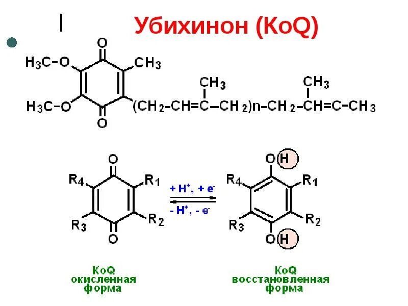 Убихинон строение. Убихинон структурная формула. Убихинон биохимия строение. Формула убихинона биохимия. Убихинон или убихинол.