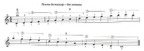 Гамма 3 мажор