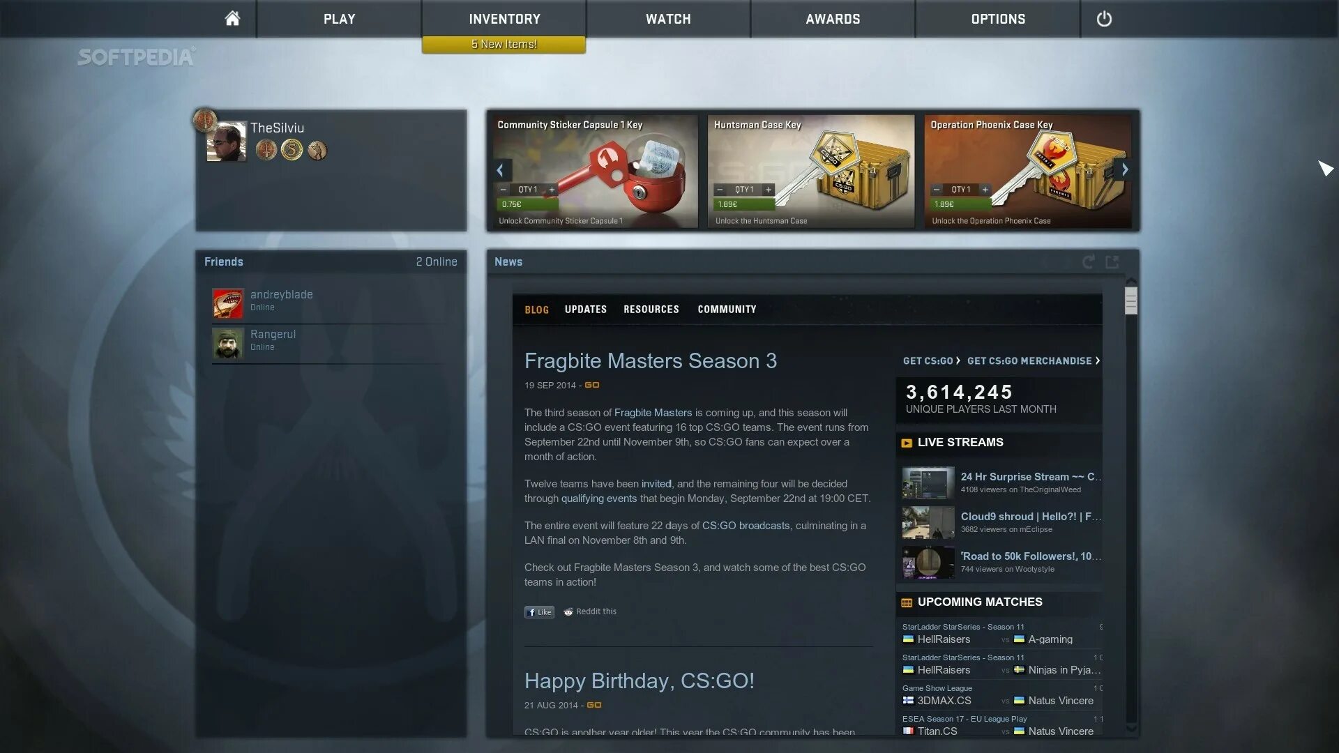Cs go без стима