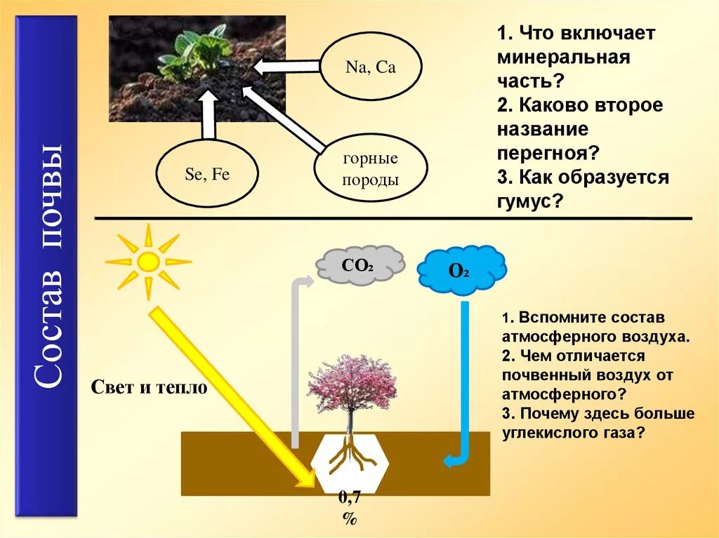 Содержание газов в почве. Воздух в почве. Как образуется гумус. Состав почвы перегной. Процесс образования гумуса.