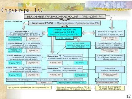 Органы управления гочс