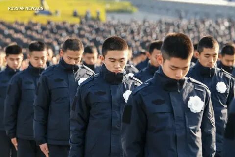Евразия дейли все новости