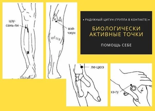 Где находится точка сан ри фото Точка долголетия и от 100 болезней 2022, Лаишевский район дата и место проведе