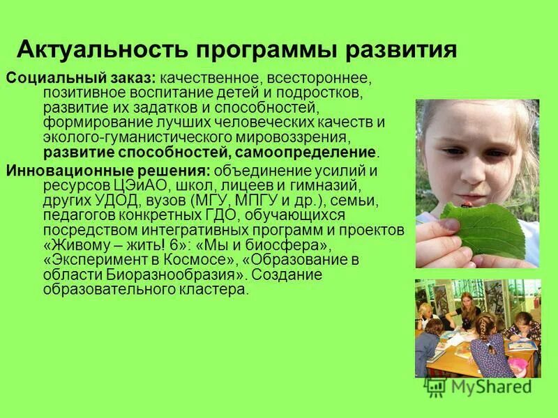 Развитие подростка. Программы развития подростков. Внимание в подростковом возрасте. Презентация психология подростка. Виды подростковых формирований.