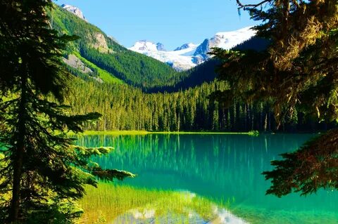 Вода для ели
