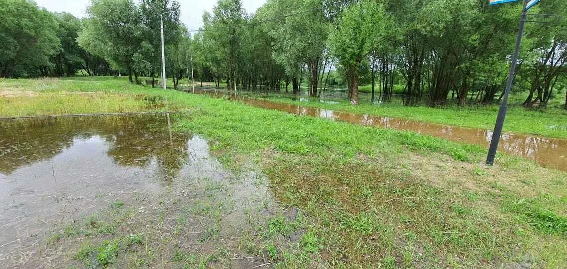 Дирекция парков тверь. Ландшафтный парк Тьмака в Твери затопило. Ландшафтный парк Тьмака в Твери. Ландшафтный парк затопление Тверь. Река Тьмака Тверь.