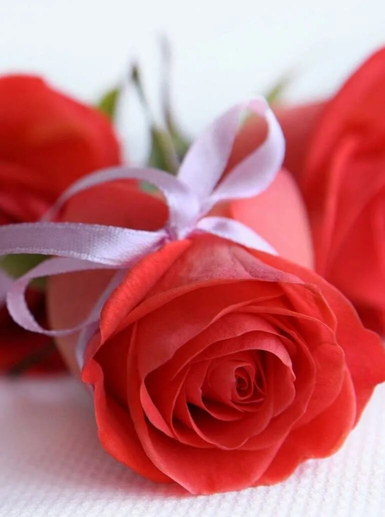 Нежные картинки для самой красивой девушки. Открытка самой милой девушке. Самые нежные цветы. Нежные картинки для самой красивой девушки. Цветочки для любимой.