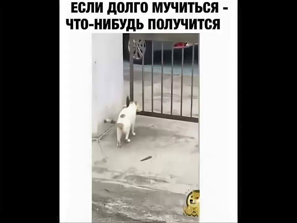 Если долго мучиться что нибудь. Если долго мучиться что-нибудь получится. если долго мучиться что-нибудь получится картинки. если долго мучатся то что-нибудь. если долго мучиться что нибудь получится приколы.