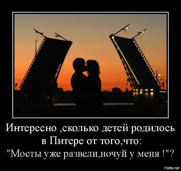 Афоризмы про развод мостов. Прикол про разводные мосты. Развод мостов высказывания. Мосты разведены фраза. Разведены мосты все спят песни