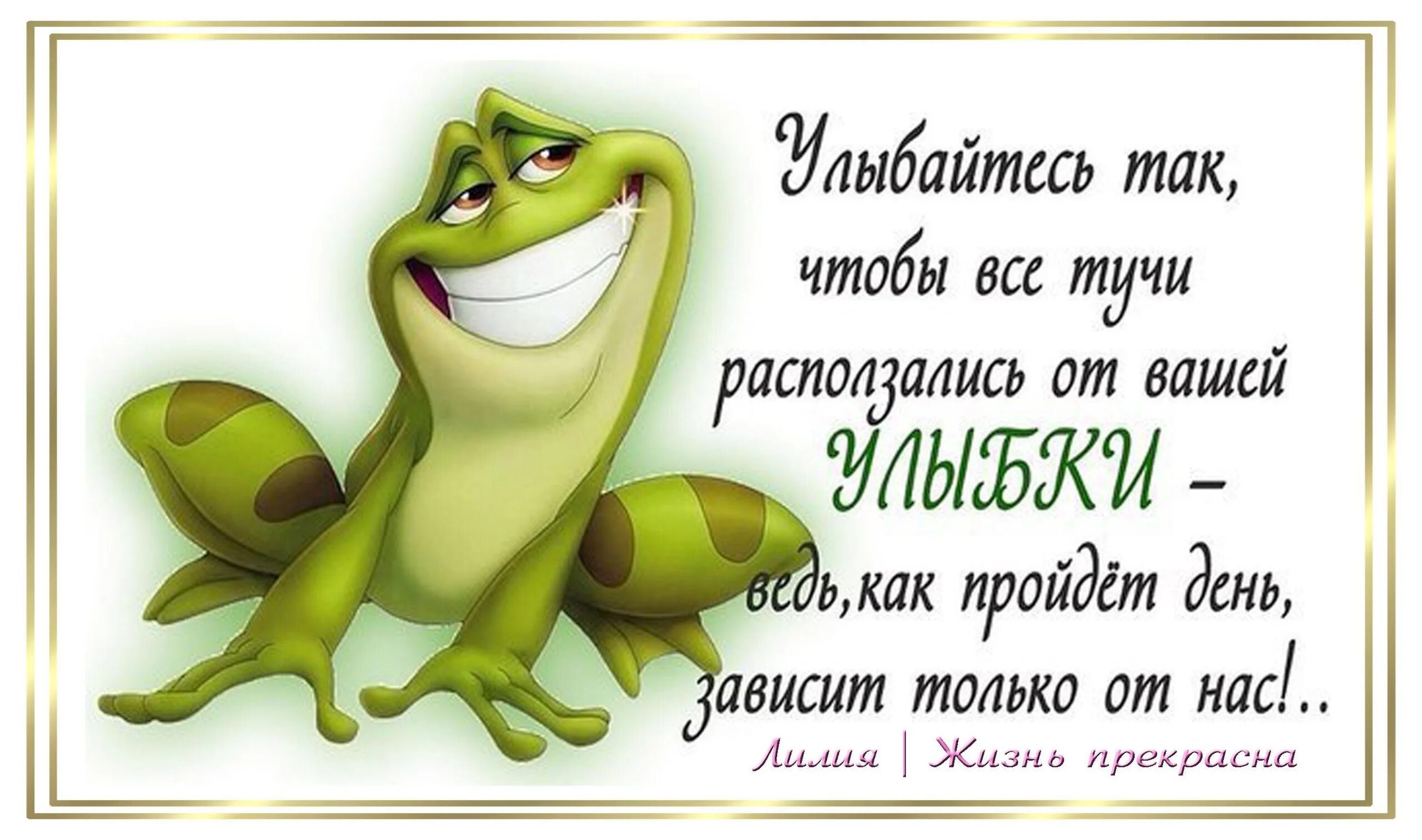 Позитивное настроение юмор