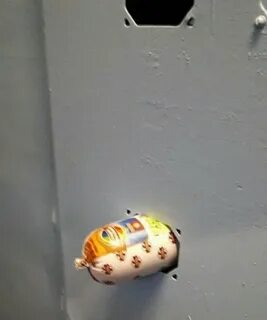 Глори хоу