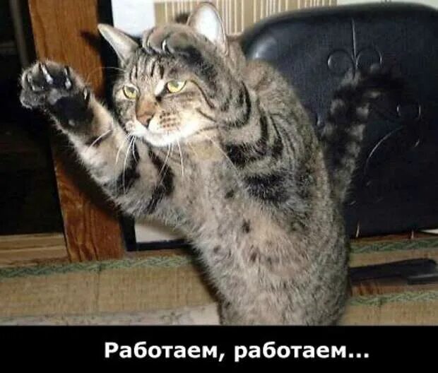 Давай установим