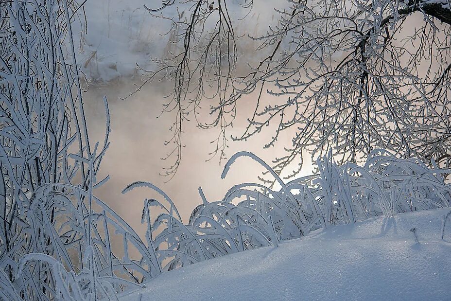рубцов снег. выпал снег и все забылось. стихотворение николая рубцова. н. николай михайлович рубцов стихотворение.