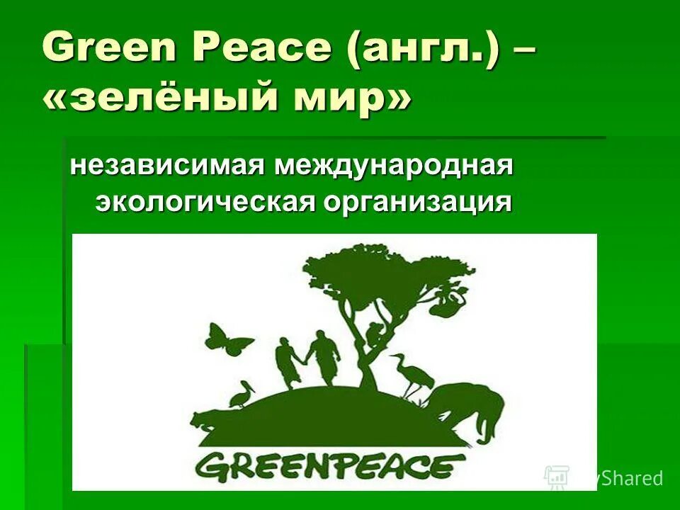 Гринпис лесной. Экологическая организация зеленый мир. Гринпис международные экологические организации. Гринпис презентация. Гринпис в России презентация.