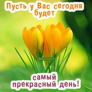 Крейзи источник настроения