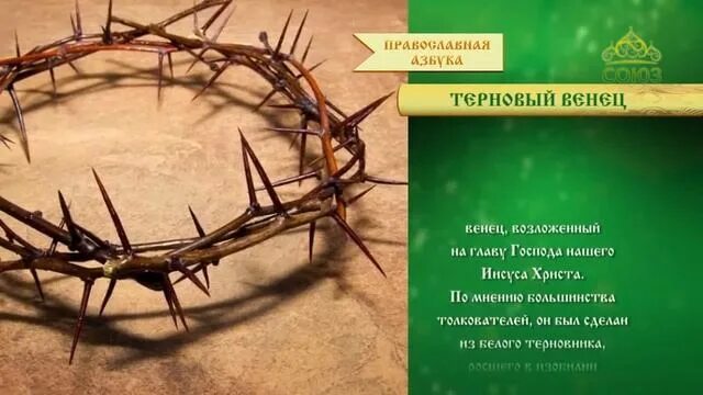 Терновый венец. Терновый корона иисуса. Терновый венец и библия. Венок венец паронимы. «коронование терновым венцом» (около 1572—1576).