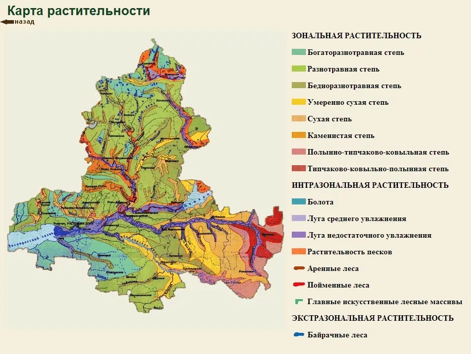 Природная зона ростова