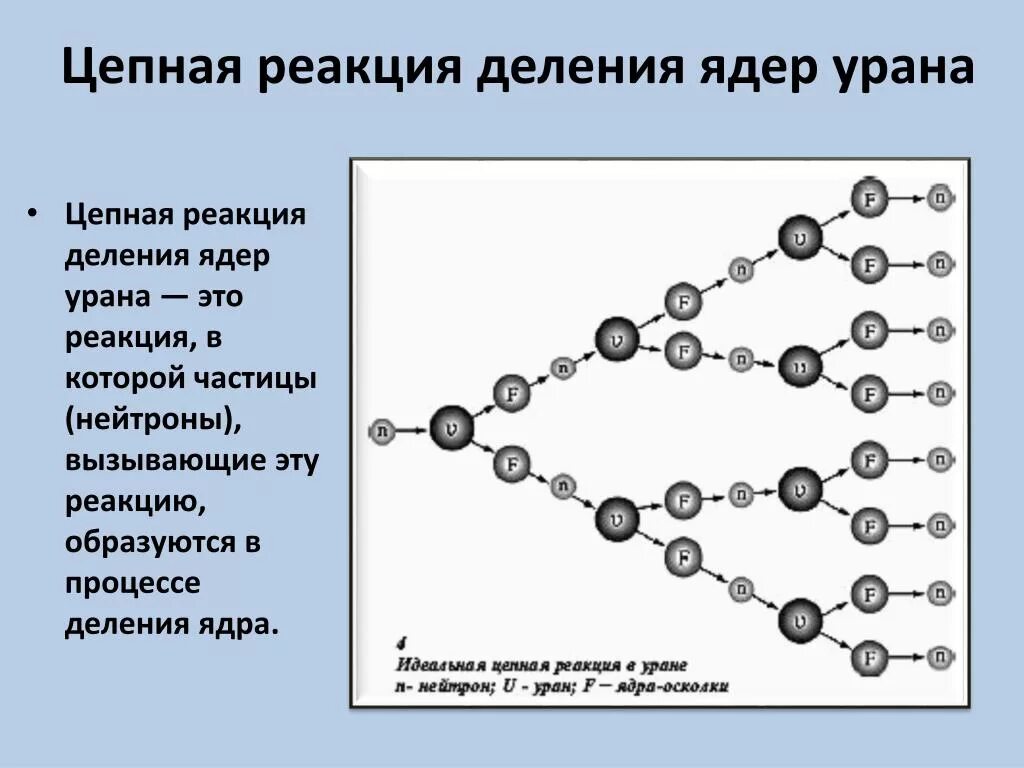 Цепные ядерные реакции деление урана. Цепная реакция деления ядер урана. Схема развития цепной реакции деления ядер урана. Схема цепной реакции деления ядер урана. Деление ядер цепная реакция физика 9 класс.