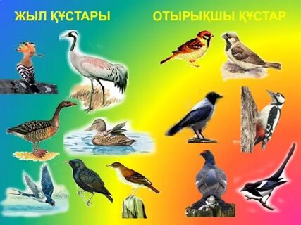 Ойын карталарының порно фотосуреттері, барлығы ретро