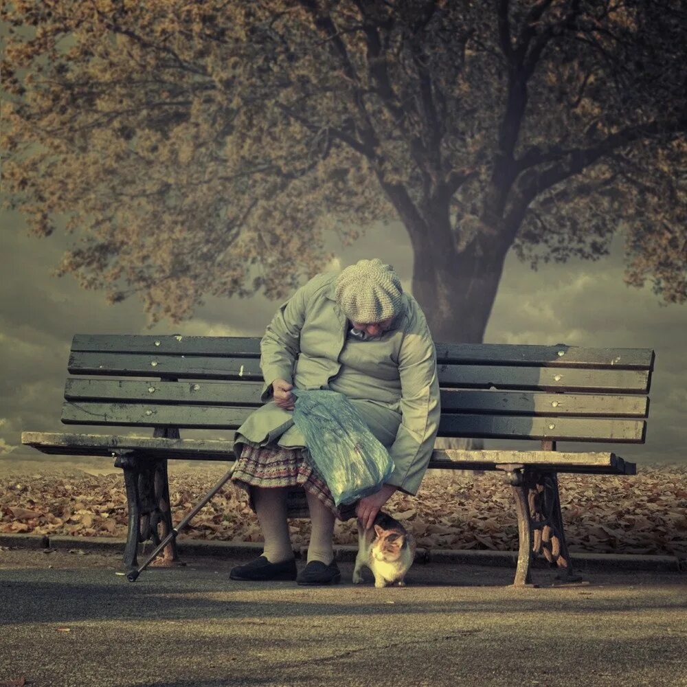Снова одинока я сижу поет девушка. Старушка на скамейке. Скамейка. Бабушка на скамейке в парке. Старушки на лавочке.