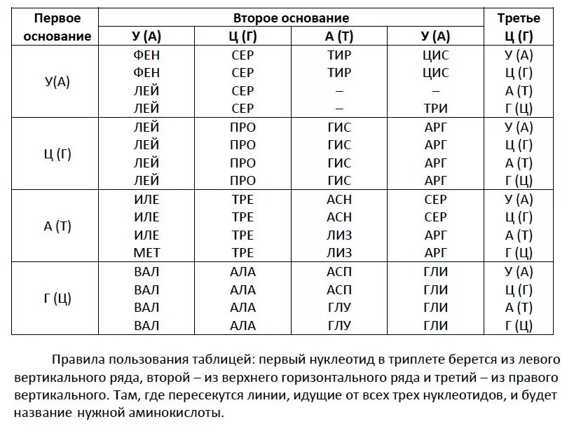 Из днк в ирнк таблица. Таблица генетического кода по биологии 10 класс. Таблица генетического кода ИРНК. Таблица ген кода ИРНК ЕГЭ. Таблица генетического кода по биологии 9 класс.