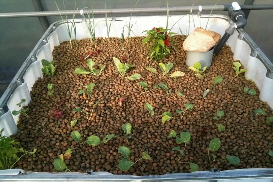 Засыпка стен керамзитом. Керамзит для дорожек. Керамзит в саду и огороде. Керамзит утеплитель для стен. Керамзит утеплитель для стен.