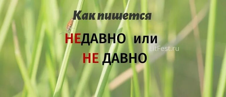 Давно или довно. Недавно как пишется. правописание недавно. недавно как пишется слитно или. не давно или недавно как пишется.