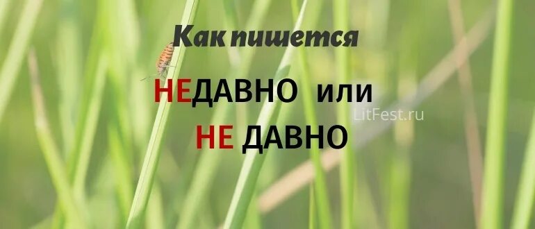 Не давно или недавно как