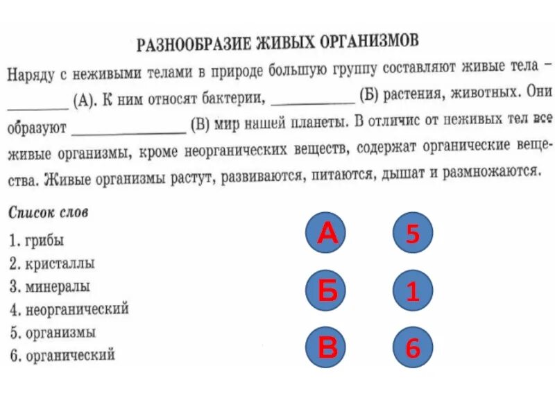 Примеры впр по биологии 6 класс. ВПР по биологии. ВПР биология 6 класс. Задание ВПР биология. ВПР биология 5 класс.