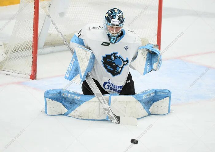 Динамо минск торпедо нижний. Хоккей динамо минск торпедо нижний новгород прямая. Динамо минск торпедо хоккей счет. Кхл 2023 порядин. Динамо торпедо хоккей.
