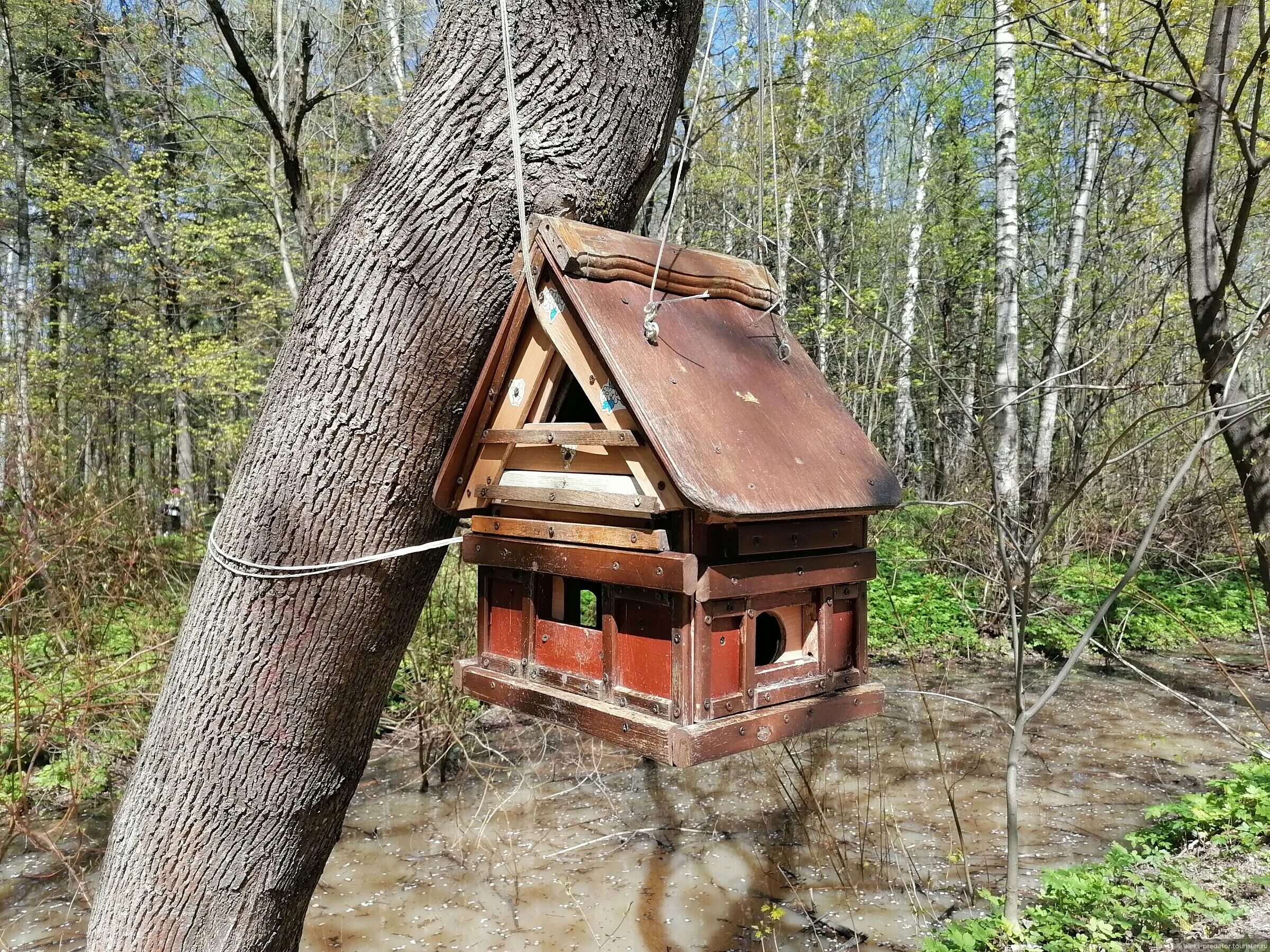 Бирюлевский дендропарк масленица