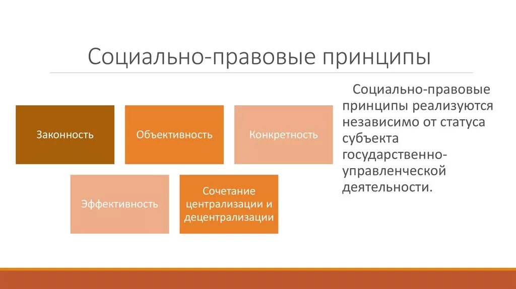 Социально правовые модели. Социально правовые принципы. Социально юридические принципы. Укажите Общие социально-правовые принципы (в РФ). Принципы социального управления.