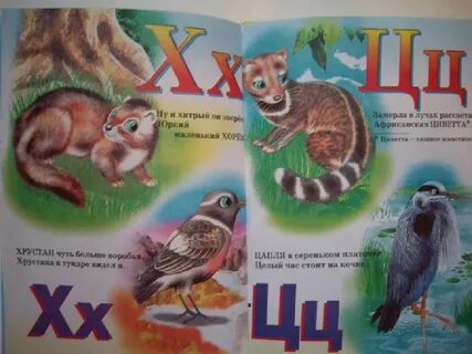 Живая азбука животных