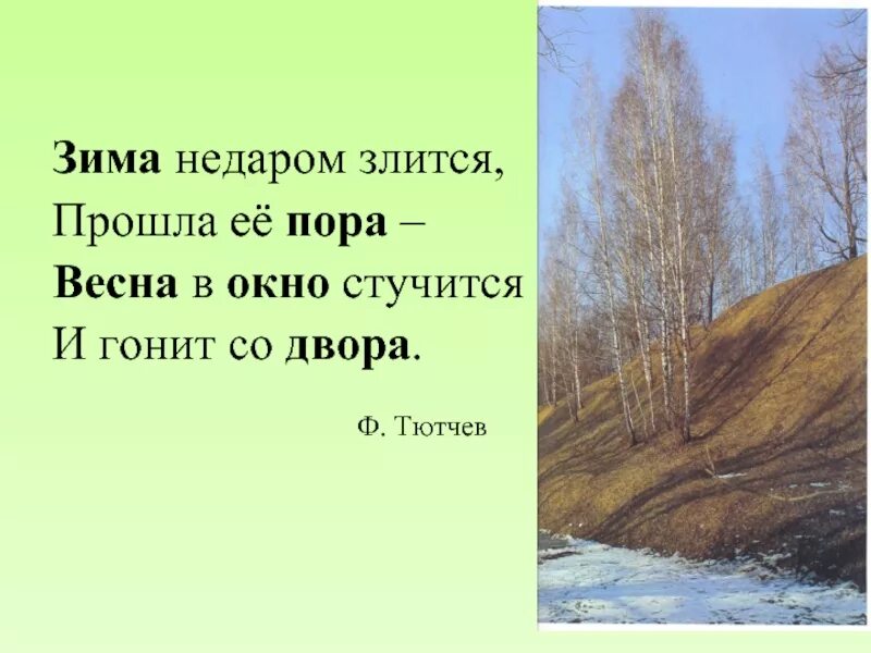 Он гонит по двору. Зима недаром злится прошла ее пора. Зима недаром.