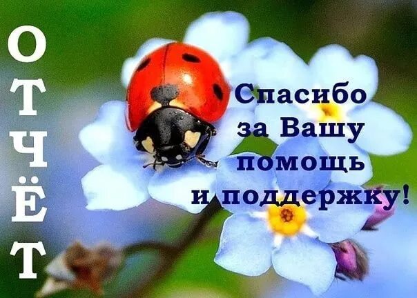 День благодарности отчет. Открытка спасибо за поддержку. Благодарим за помощь. Благодарю за поддержку. Открытка спасибо за помощь.