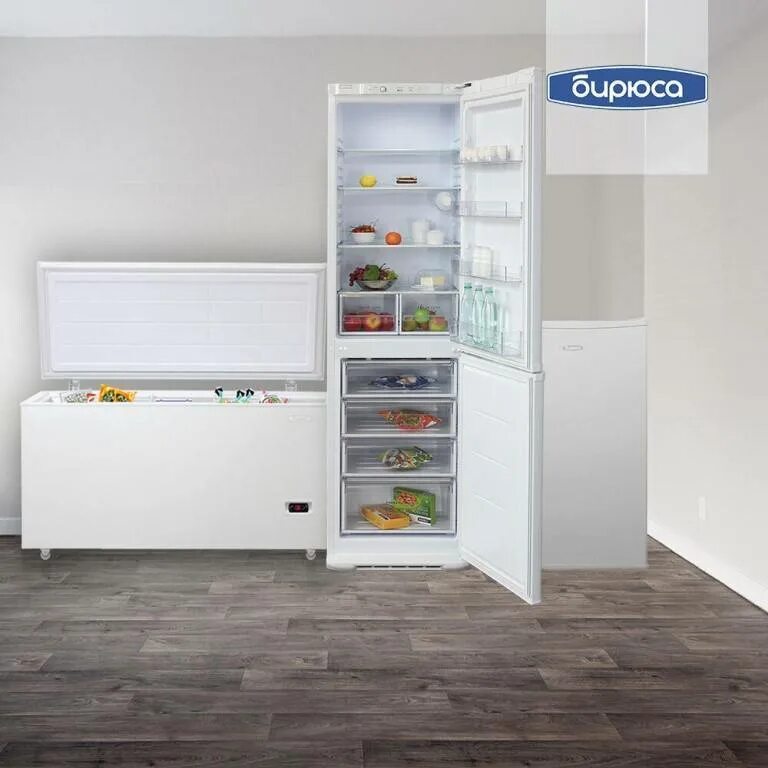 Какой холодильник лучше. Холодильник Бирюса, Позис. Холодильник Бирюса g633. Холодильник Бирюса двухкамерный модели. Холодильник Бирюса m132.